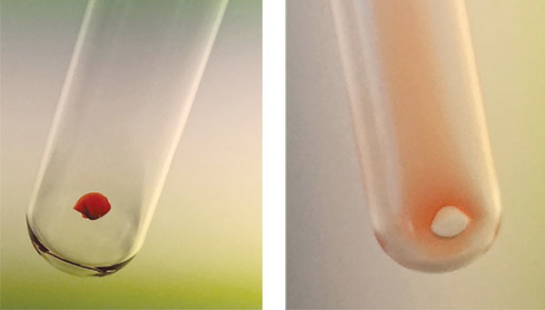 Mlo201802 Mgmt Matters Fig1