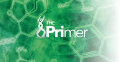 Mlo Generic The Primer New Mlo Generic The Primer New