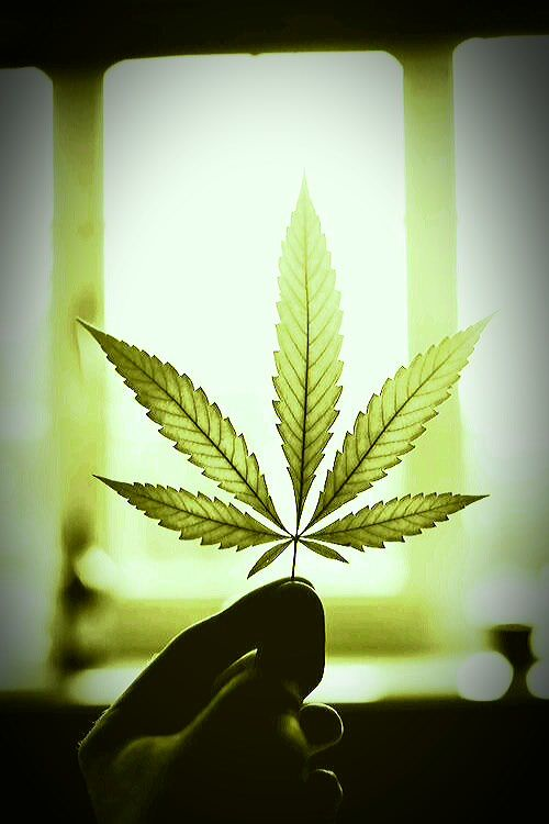 3271331e8c532f087737bbf5b1440a1c