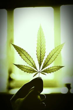 3271331e8c532f087737bbf5b1440a1c 3271331e8c532f087737bbf5b1440a1c