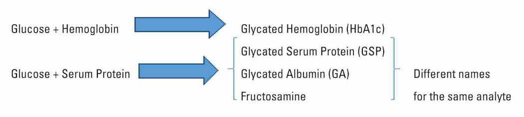 Figure 1. Enzymatic glycated serum protein methods measure primarily glycated albumin. Most current fructosamine assays are colorimetric and are less specific for glycated serum proteins than the enzymatic methods.