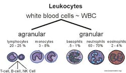 Figure 1. Figure 1.