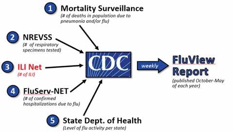 Figure 1. Fire principle categories for influenza surveillance.