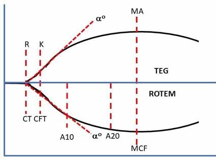 Figure 1. Common measured parameters of TEG and ROTEM.
