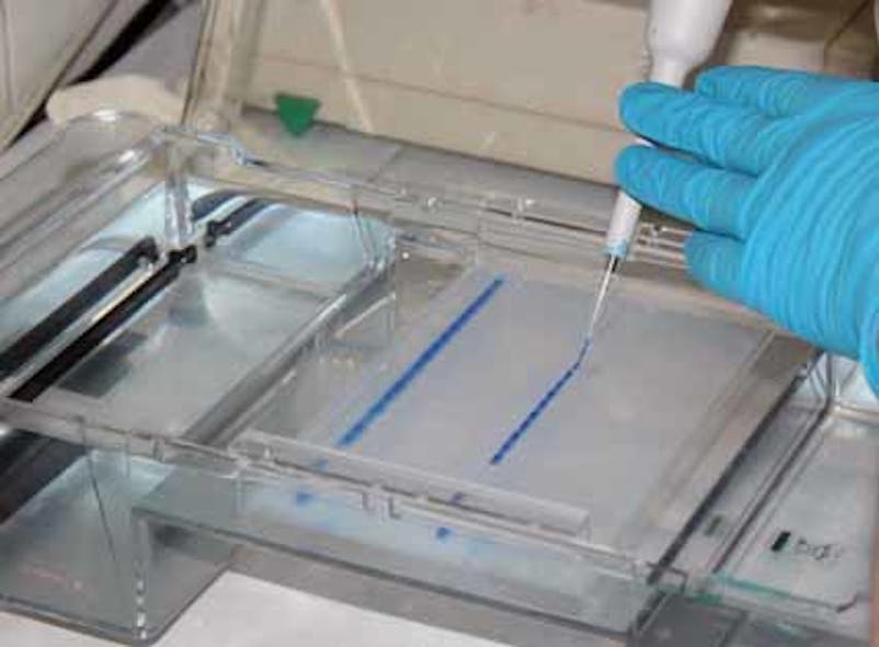 EB pure agarose