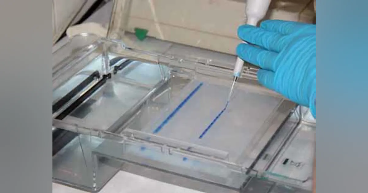 Product Focus: Proficiency Testing | Medical Laboratory Observer Product Focus: Proficiency Testing | Medical Laboratory Observer