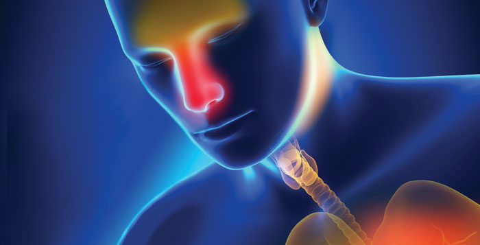 Fotolia 99364329 Subscription Monthly Xxl