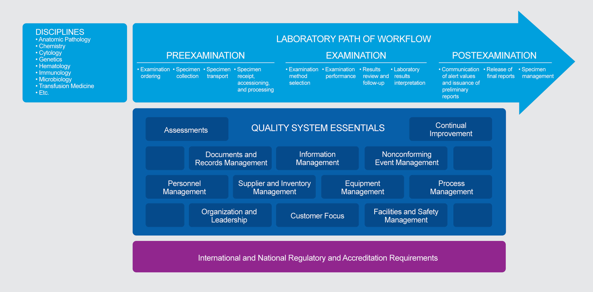 The Importance Of Implementing A Quality Management System In The ...