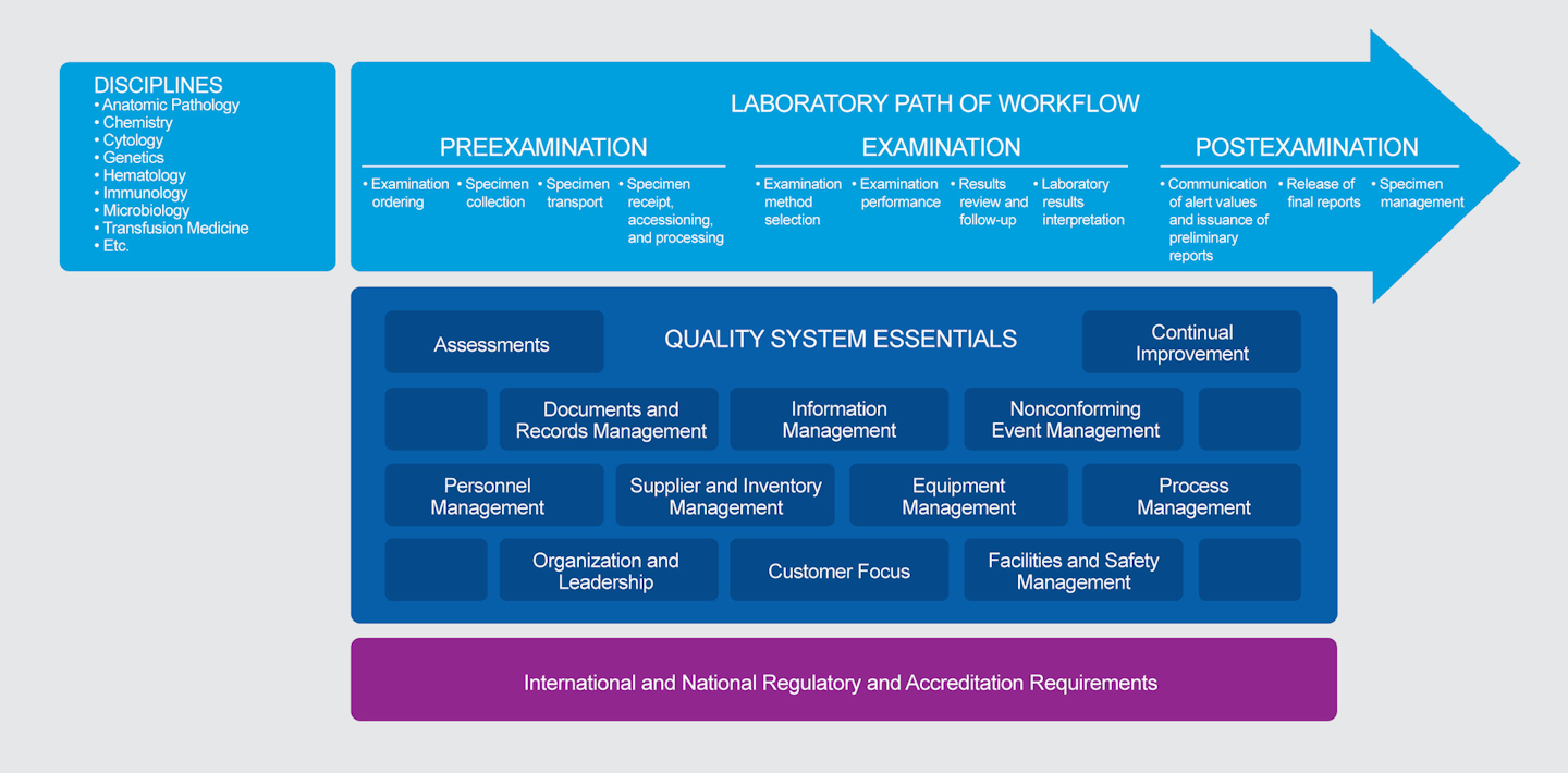 The Importance Of Implementing A Quality Management System In The Laboratory Medical Laboratory Observer