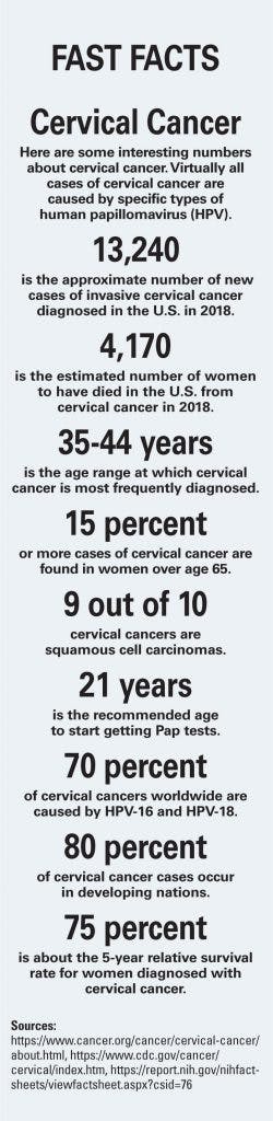 Mlo201902 Observatory 250x1024 Mlo201902 Observatory 250x1024