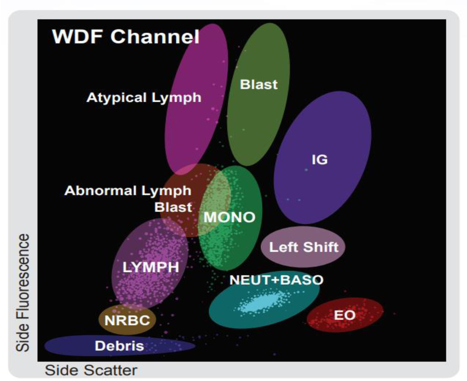 Figure 1. Flow cell scatter gram from the blood cell analyzer showing the reportable populations and Interpretive Program (IP) flagging areas. The y-axis of this scatter gram represents side-fluorescence; the x-axis indicates side-scattered light.
