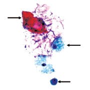 0309cover Fig1 0309cover Fig1