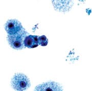 0309cover Fig2 0309cover Fig2