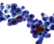 0309cover Fig5 0309cover Fig5