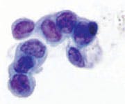 0309cover Fig6 0309cover Fig6