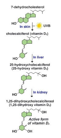 0609special Mlo2 0609special Mlo2
