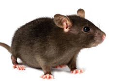 0909special2 0909special2