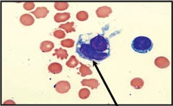 1108image2b 1108image2b