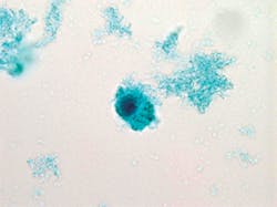 1108image3 1108image3