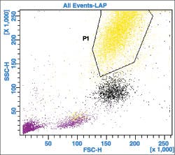 1109pathology Fig6 1109pathology Fig6
