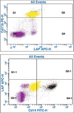 1109pathology Fig8 1109pathology Fig8