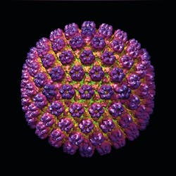 Human Cytomegalovirus depicting membrane and nucleoid components Human Cytomegalovirus depicting membrane and nucleoid components