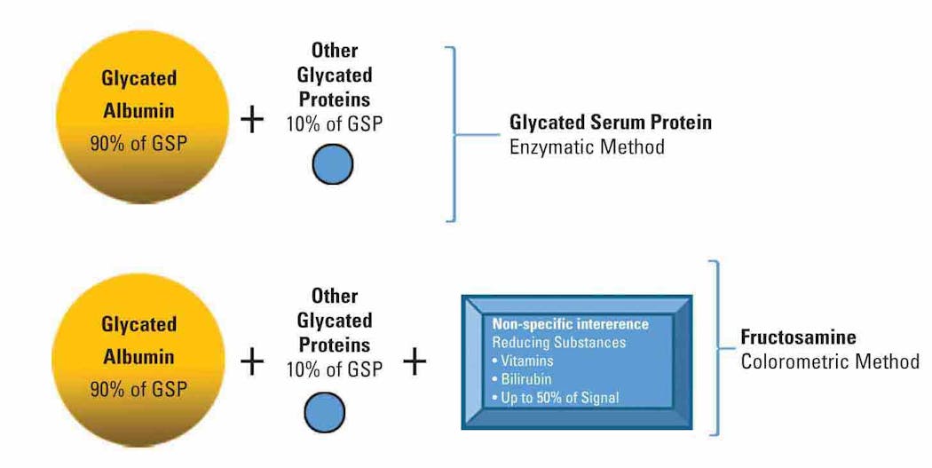 Figure 3. The difference between fructasomine and glycated serum protein.