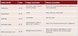 Table 3. Targeted antigens and associated diseases for mitotic patterns Table 3. Targeted antigens and associated diseases for mitotic patterns
