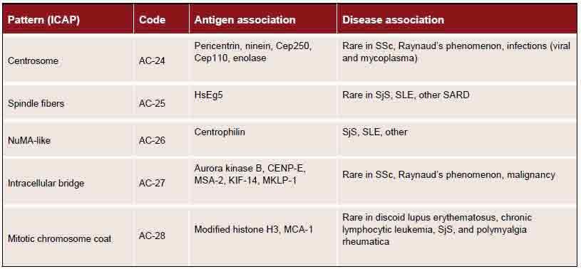 Table 3. Targeted antigens and associated diseases for mitotic patterns