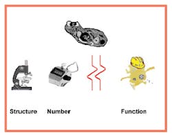 Figure1 Platelets Figure1 Platelets