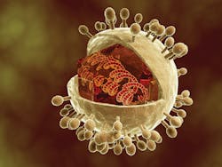 Conceptual image of human cytomegalovirus. Cytomegalovirus is a genus of the viral family Herpesviridae.