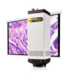 L10 Art Industry Spotlight Spot 169 L10 Art Industry Spotlight Spot 169