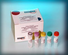 L10 Art Ind Spot Phthisis 163 L10 Art Ind Spot Phthisis 163