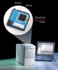 Lab Mgmt Fig2 Lab Mgmt Fig2