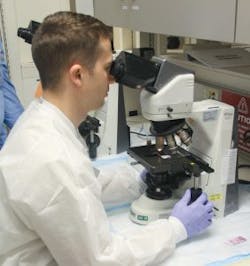 Mlo201704 Loy Dg Sr A Kunklemangramstain 282x300 Mlo201704 Loy Dg Sr A Kunklemangramstain 282x300