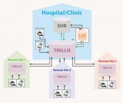 Mlo201705 Product Focus Orchard Trellis Diagram 300x252 Mlo201705 Product Focus Orchard Trellis Diagram 300x252