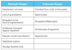 Mlo201707 Ce Story Hawaii Table2 Mlo201707 Ce Story Hawaii Table2