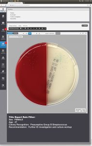 Mlo201708 Lab Mgmt Copan Fig6 190x300