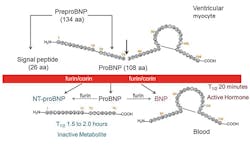 Mlo201801 Ce Story Fig1 Mlo201801 Ce Story Fig1