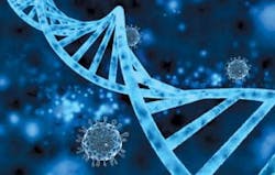 Mlo201801 Prod Focus Enzo 300x191 Mlo201801 Prod Focus Enzo 300x191