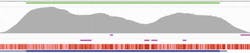 Figure 3b. Reliable detection of a point mutation in a GC-rich region of the CEBPA gene. Figure 3b. Reliable detection of a point mutation in a GC-rich region of the CEBPA gene.
