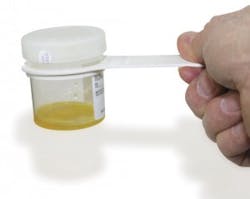 Market Lab 300x239 Market Lab 300x239