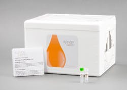 Product Focus Syzygy Product Focus Syzygy