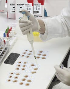 Randox Hhh2025 Aso Disposable Cards Randox Hhh2025 Aso Disposable Cards