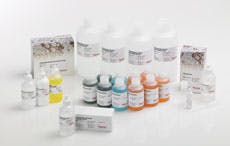 Thermo Fisher Ultra Vision Quanto Kit Thermo Fisher Ultra Vision Quanto Kit