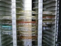 Wasp Lab Incubator 2 300x225 Wasp Lab Incubator 2 300x225