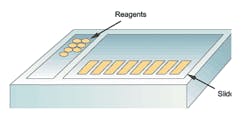 Lab Figure 1 Lab Figure 1