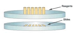Lab Figure 2 Lab Figure 2