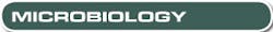 Microbiology Microbiology