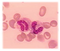 Mlo1103stab Mlo1103stab